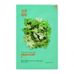 Näomask Pure Essence Mask Sheet - Mugwort